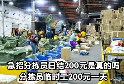 急招分拣员日结200元是真的吗(分拣员临时工200元一天)