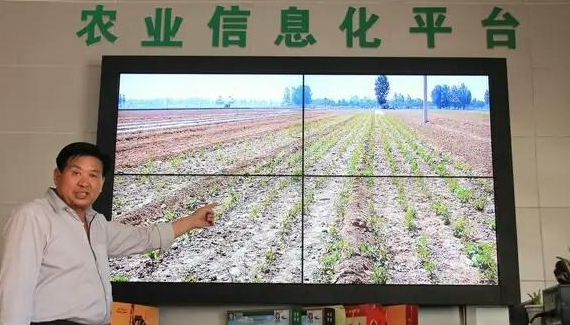 年轻人如何创业没学历，年轻人创业项目-第2张图片