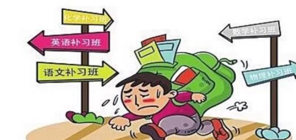 儿童教育那个项目好？早期儿童教育项目的价值-第1张图片